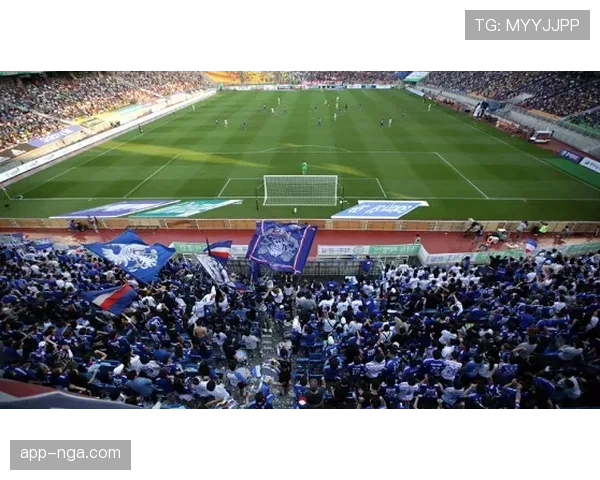 德国足球博物馆宣布将举办“德甲60年”特别展览